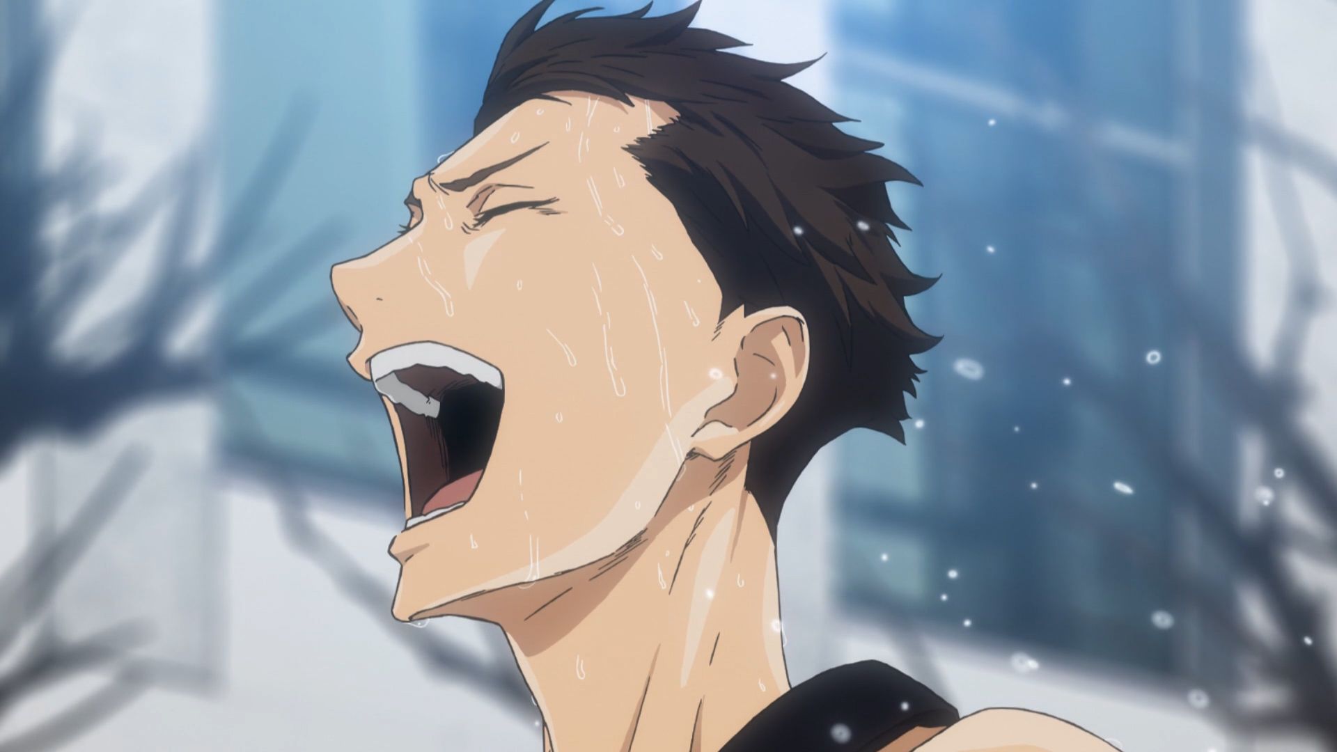 【强风吹拂/灰二】"纵有疾风起,人生不言弃"-慵懒の小黑-慵懒の小黑