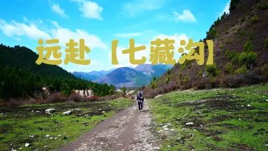 山野爱月-哔哩哔哩_Bilibili