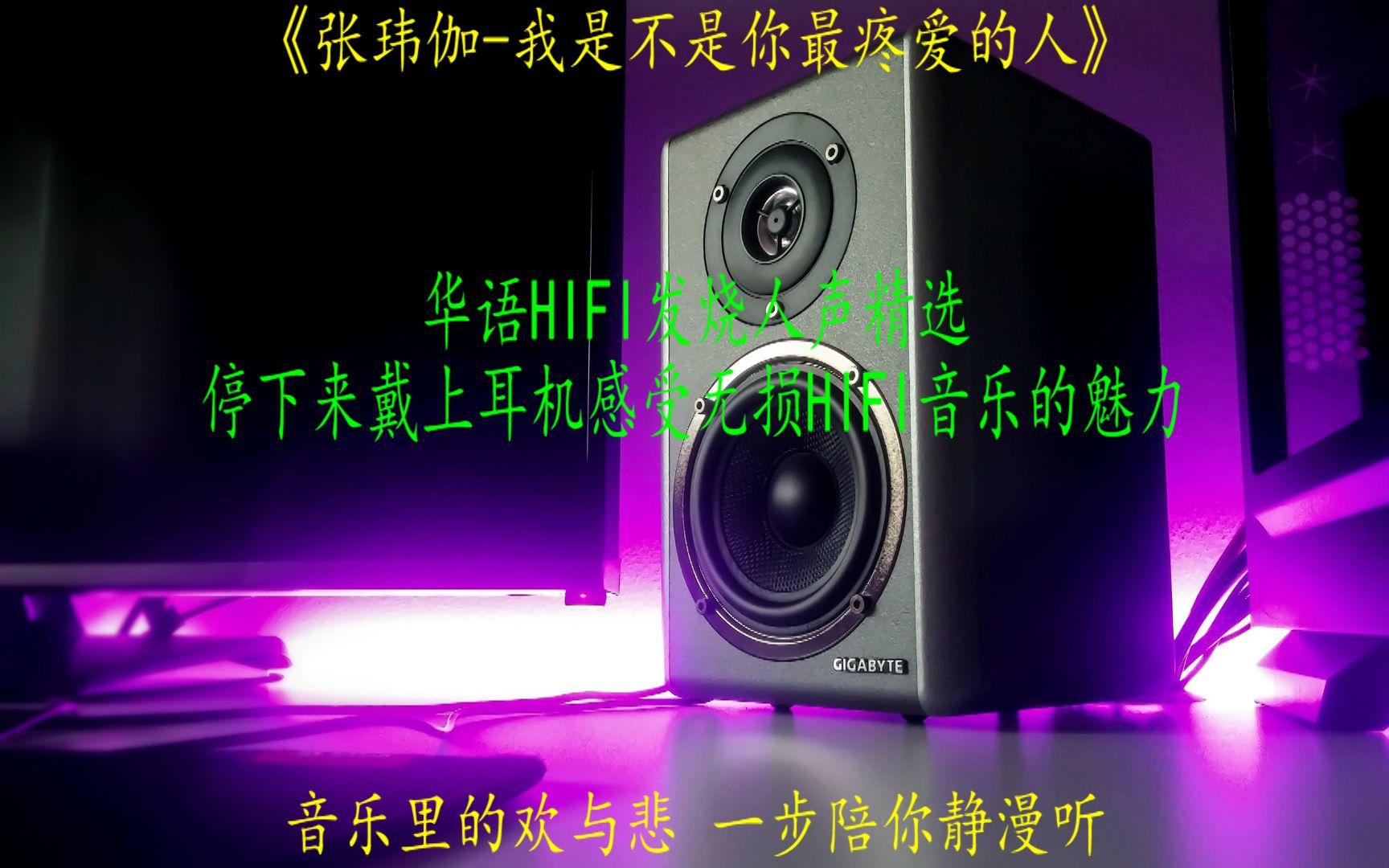 [图]华语HIFI发烧人声精选张玮伽《我是不是你最疼爱的人》