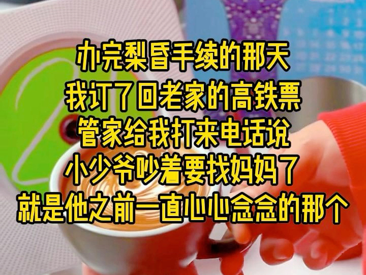 办完梨昏手续的那天,我订了回老家的高铁票,管家给我打来电话说,小少爷吵着要找妈妈了,就是他一直心心念念的那个…哔哩哔哩bilibili