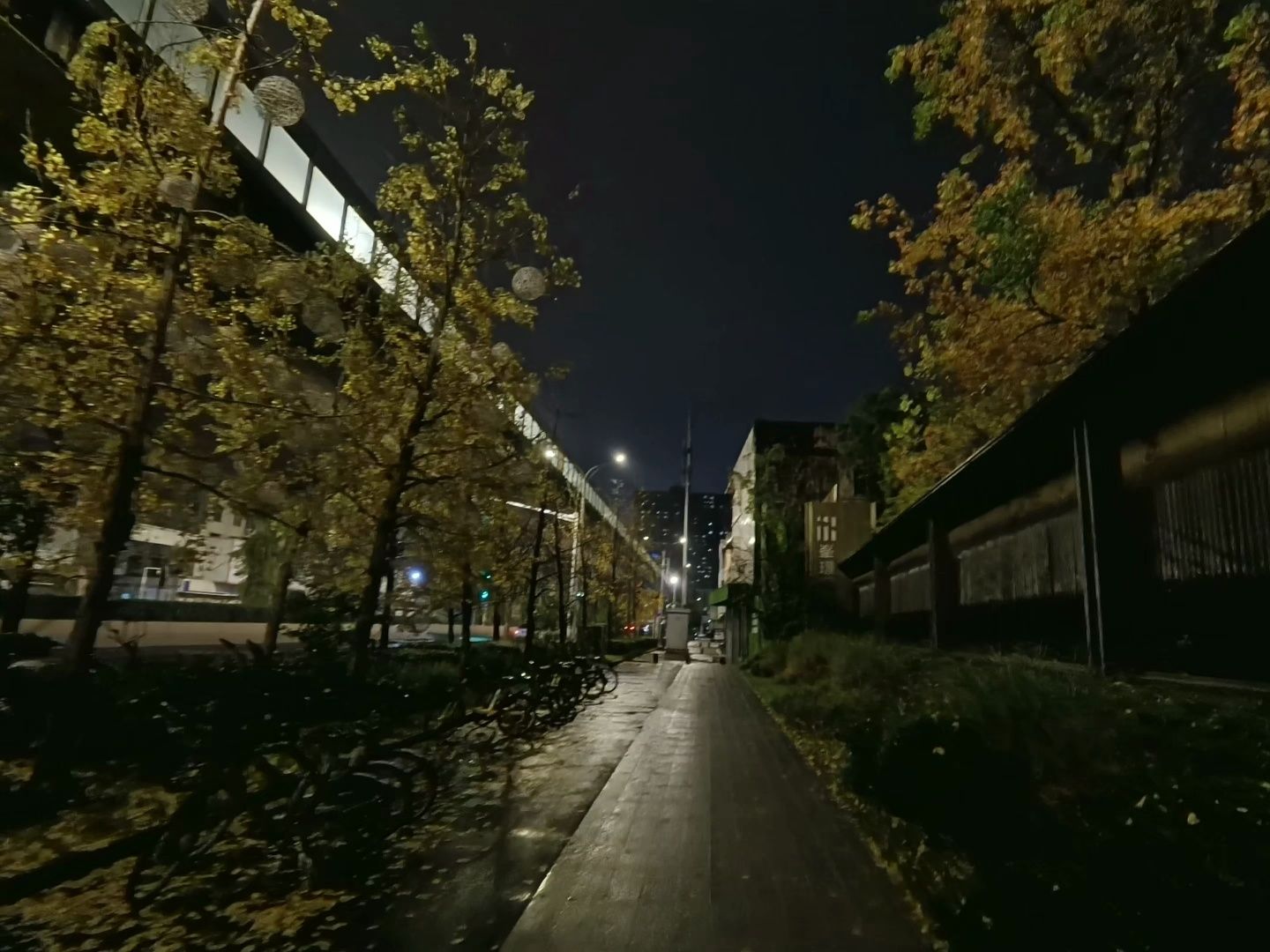 insta360 ace pro暗光夜景实拍-光影小咖-光影小咖-哔哩哔哩视频