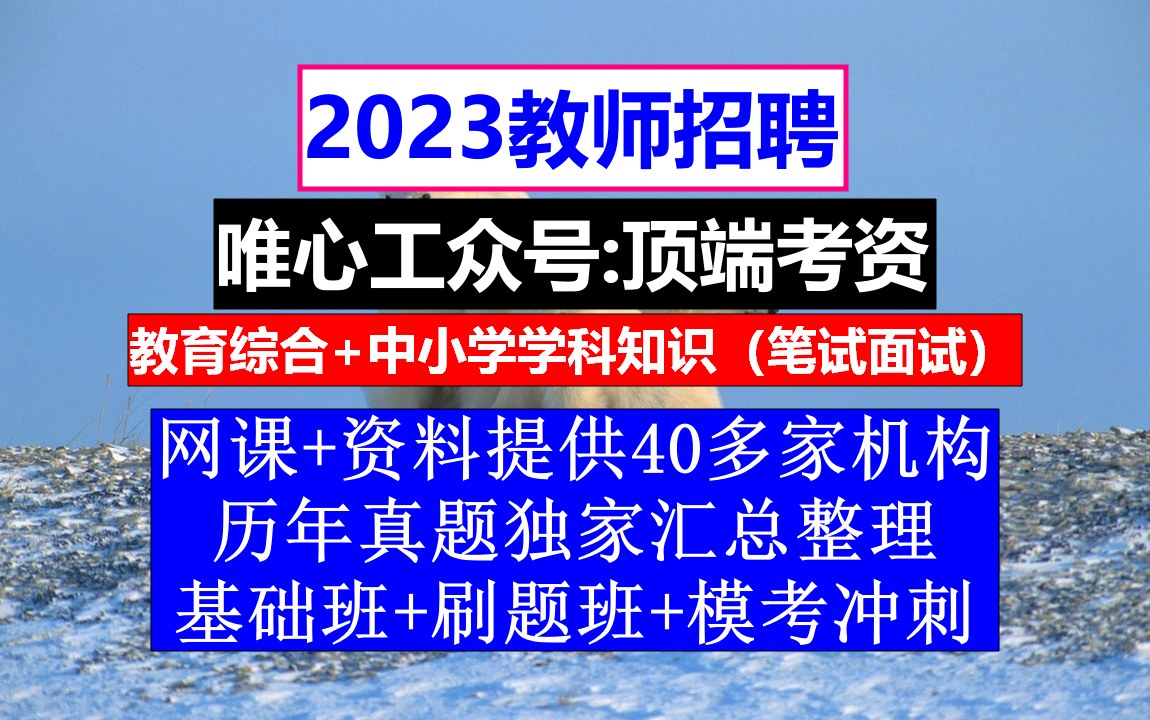 教师招聘,小学语文教师招聘考试真题库及答案,教师招聘考察报告范文哔哩哔哩bilibili