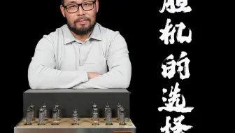 胆机怎么选??