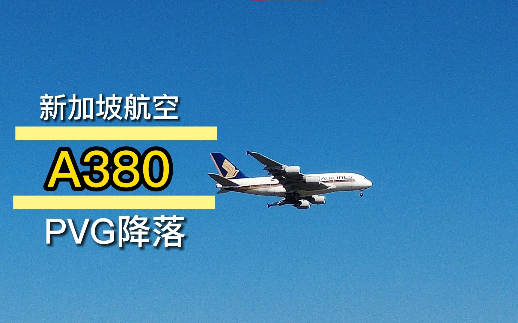 【新加坡航空】国庆期间空客A380841 担当SQ830次航班 降落浦东国际机场实录哔哩哔哩bilibili