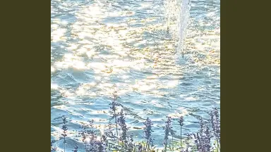 花咲く君の滑走路///-哔哩哔哩_Bilibili
