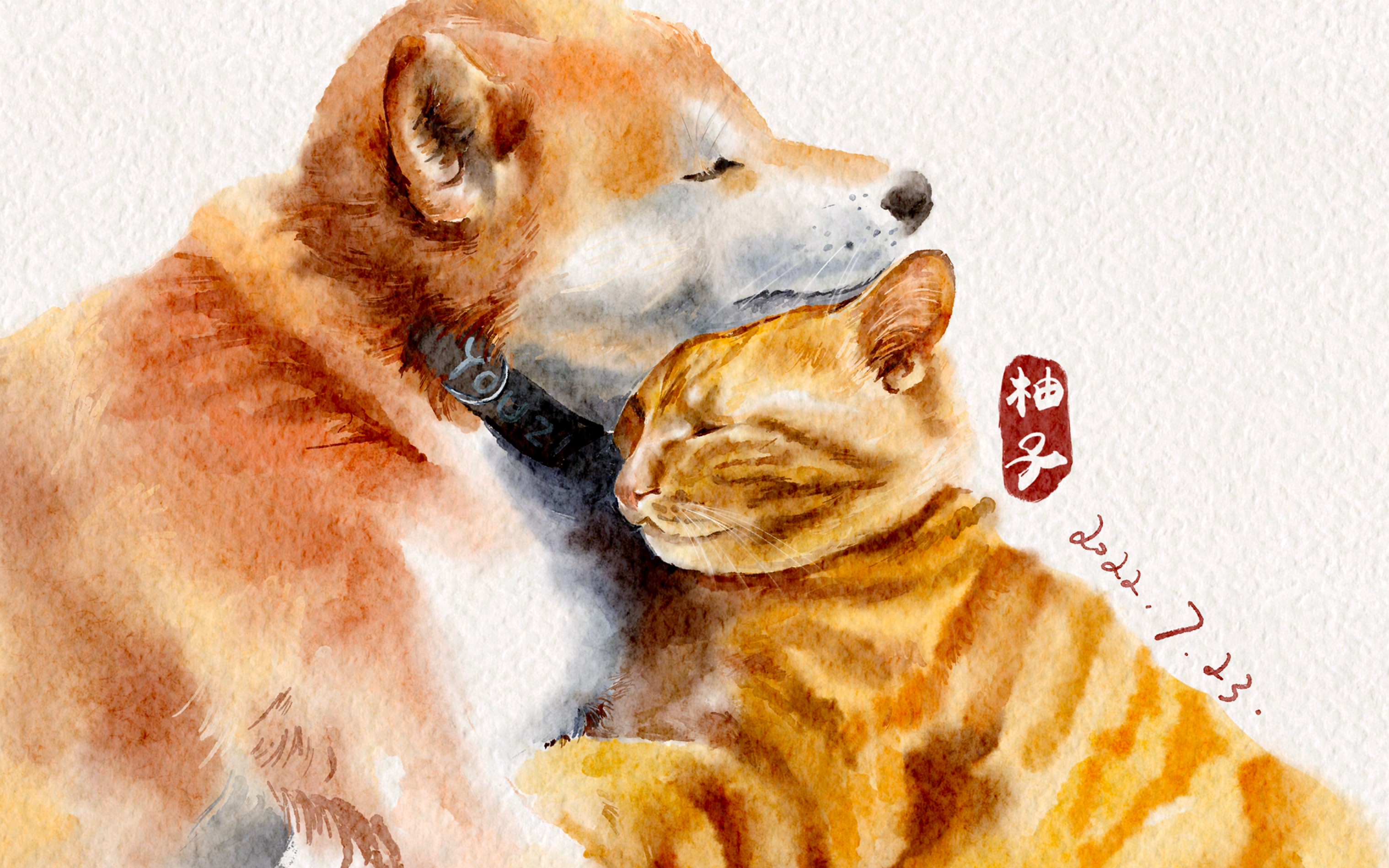 procreat水彩动物绘制全过程