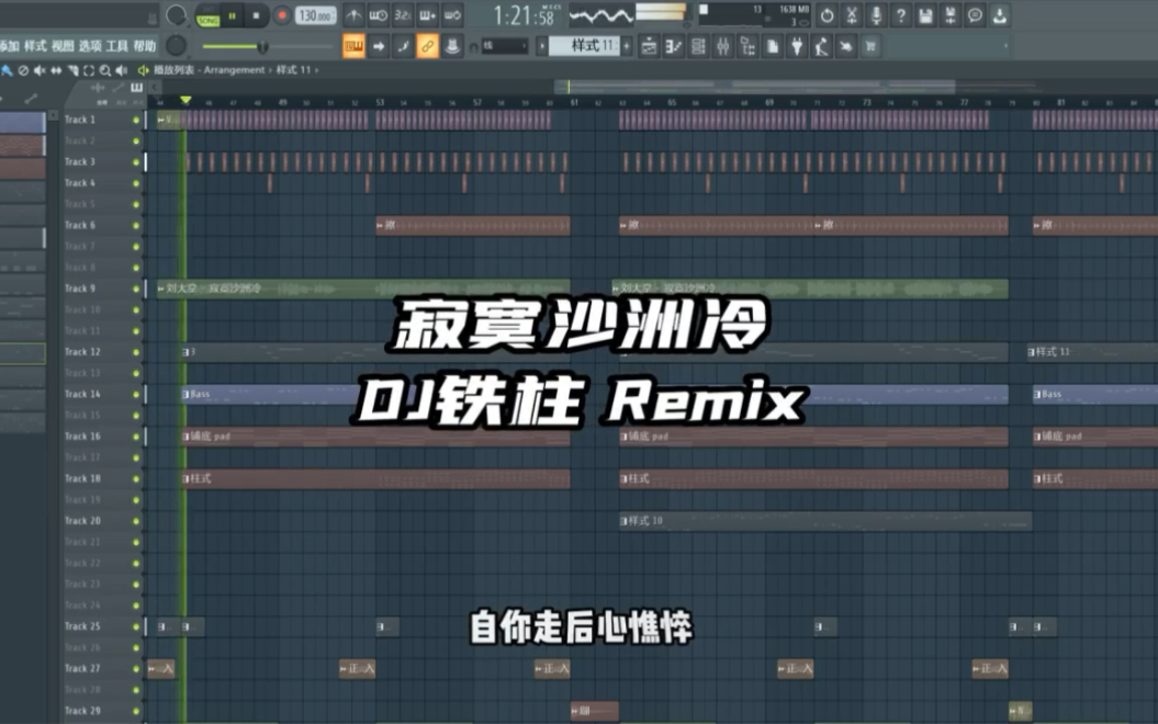 [图]寂寞沙洲冷（DJ铁柱Remix）