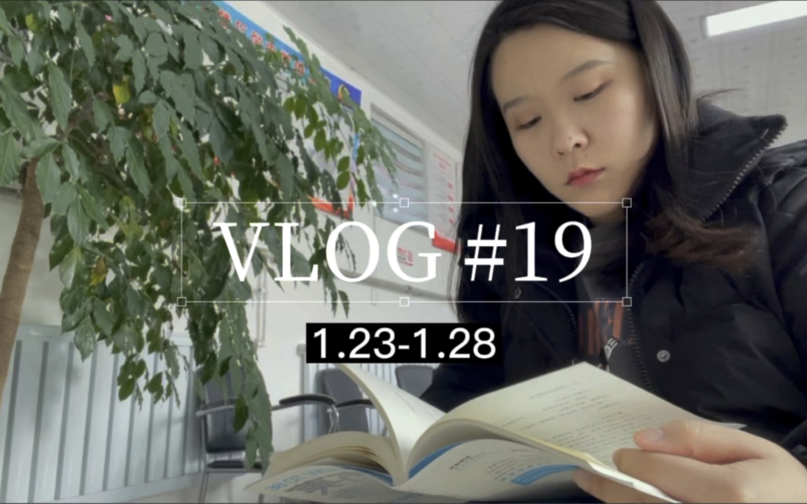 [图]VLOG#19｜吃吊兰的理理｜如何成为不完美主义者｜被调到YQ防控部门帮忙了