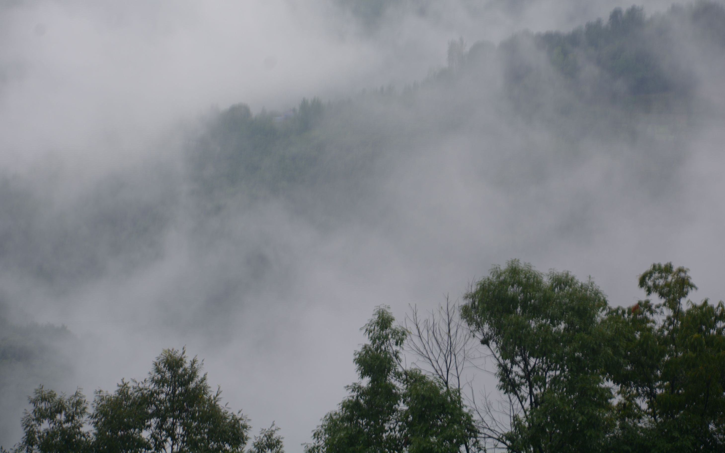 [图]仙境云海！雨后山中云雾动态实拍！