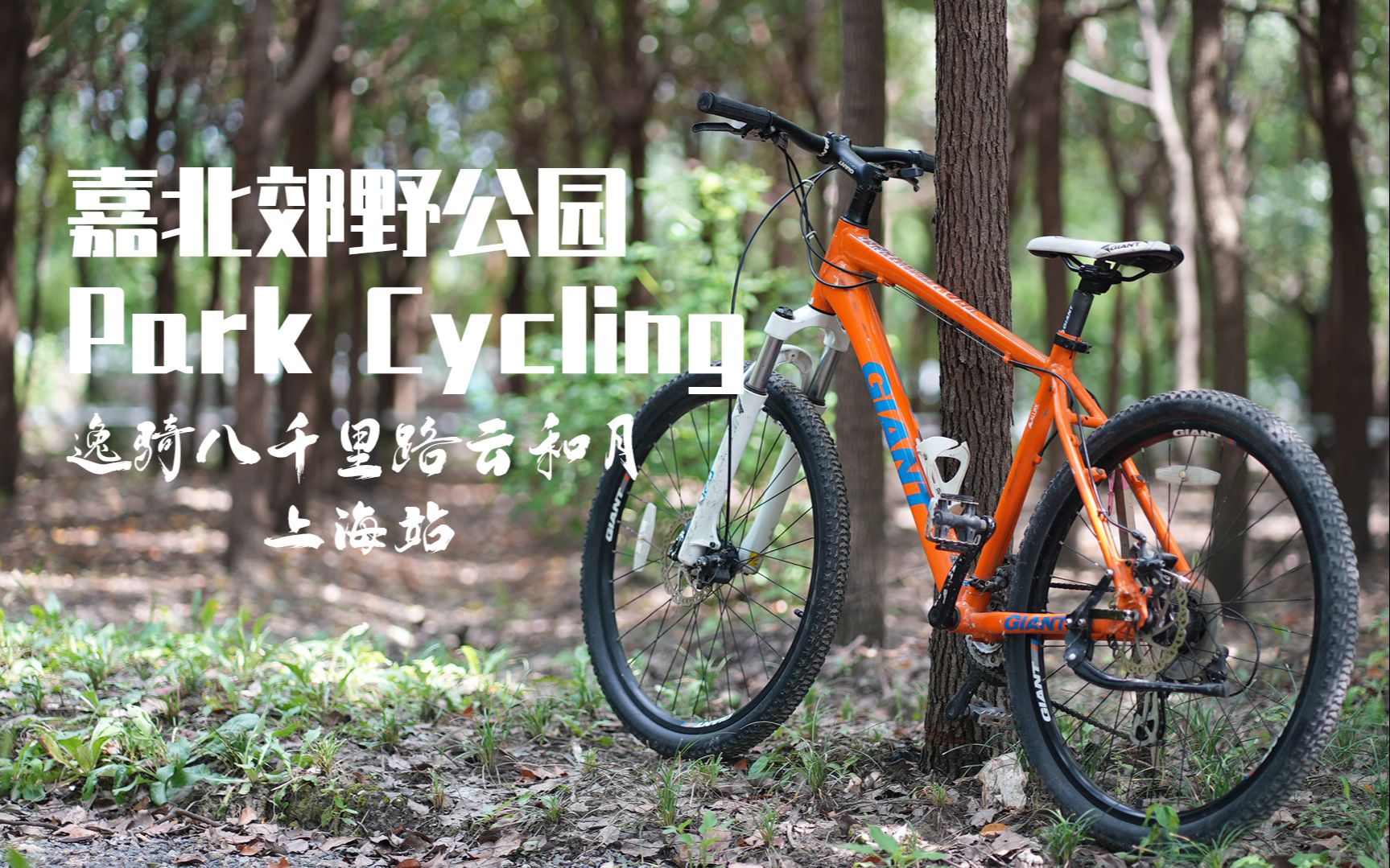 【嘉北郊野公园Park Cycling】逸骑八千里路云和月ⷤ𘊦𕷧뙨含赛道体验)2021.9.11哔哩哔哩bilibili