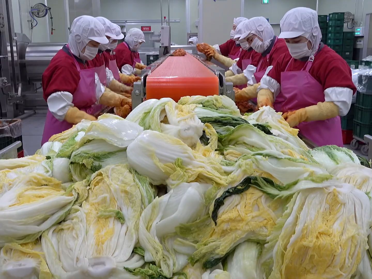 每月可大量生产 900 吨泡菜的韩国泡菜工厂