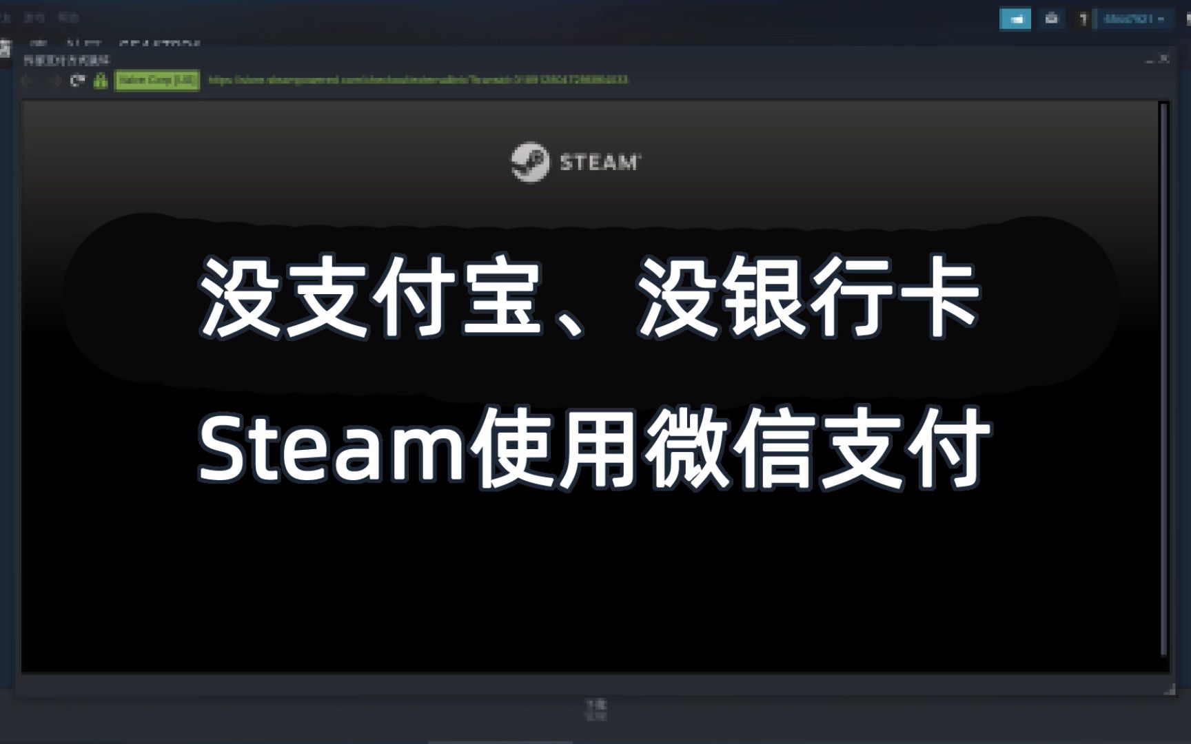 没支付宝 没银行卡 Steam使用微信支付 steam代充 充值单机游戏热门视频