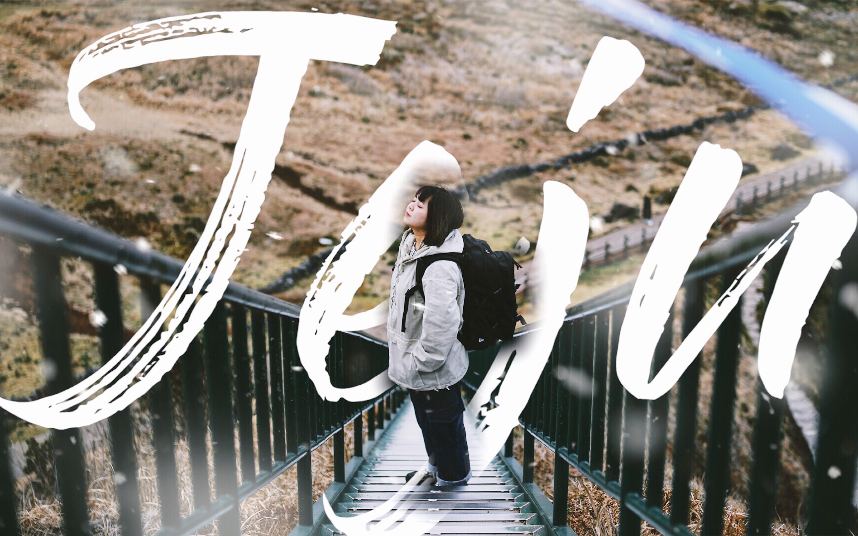 jeju vlog | 新年济州游 到底新年济州岛有什么好玩的呢