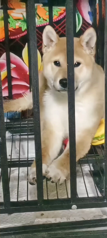 女人,你是不是被我迷住了[脱单doge][脱单doge][脱单doge]