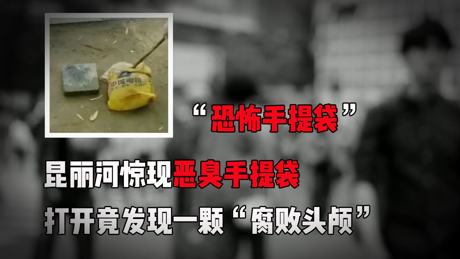 恐怖的手提袋,一颗腐败人头,够顶吗