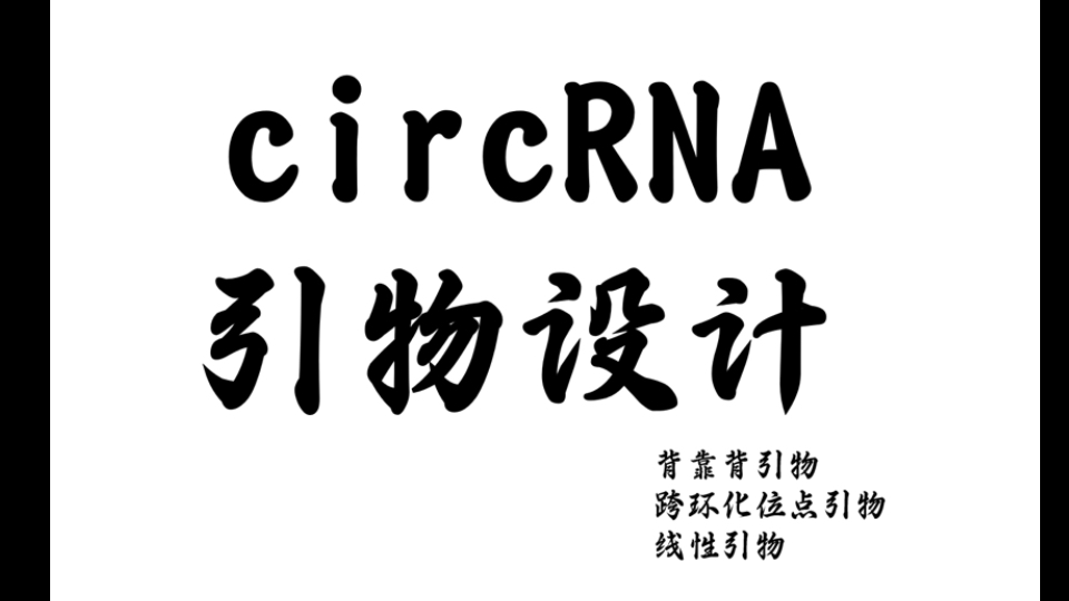 circRNA引物设计|背靠背引物与跨环化位点引物-Initialsjm-Initialsjm-哔哩哔哩视频