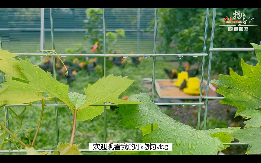 [图]雨中钓鱼，斜风细雨何须归