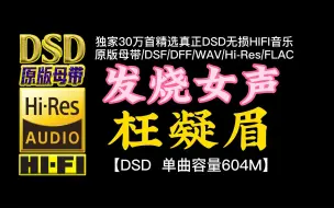 极品发烧女声，《枉凝眉》DSD完整版，单曲容量604M【30万首精选真正DSD无损HIFI音乐，百万调音师制作】