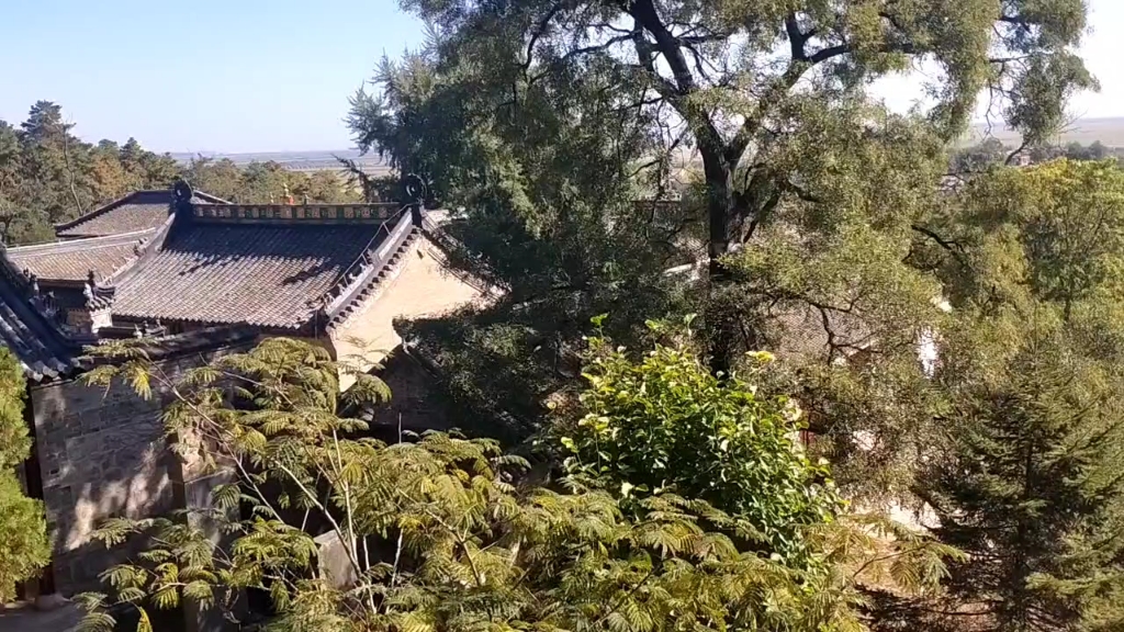 听听终南清风的风铃,富有生命的灵动,自驾游丹东东港大孤山