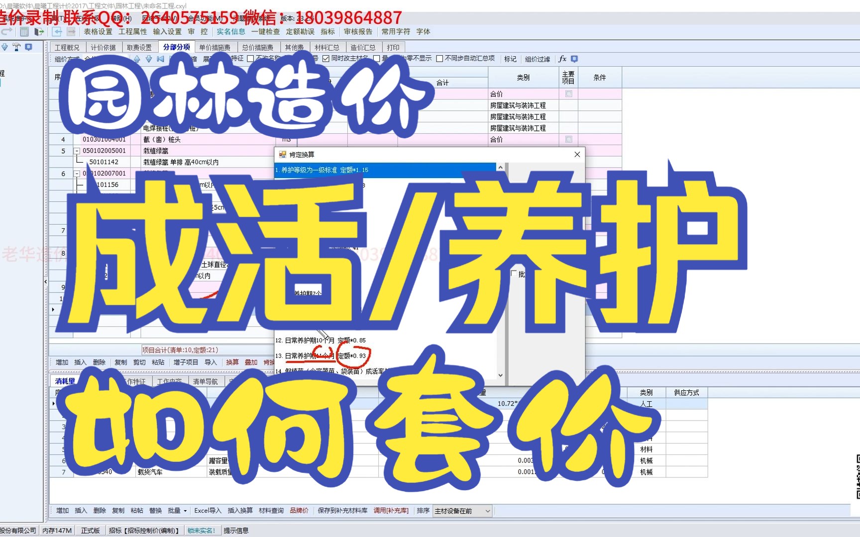 园林绿化造价苗木成活养护期和日常养护如何套价哔哩哔哩bilibili