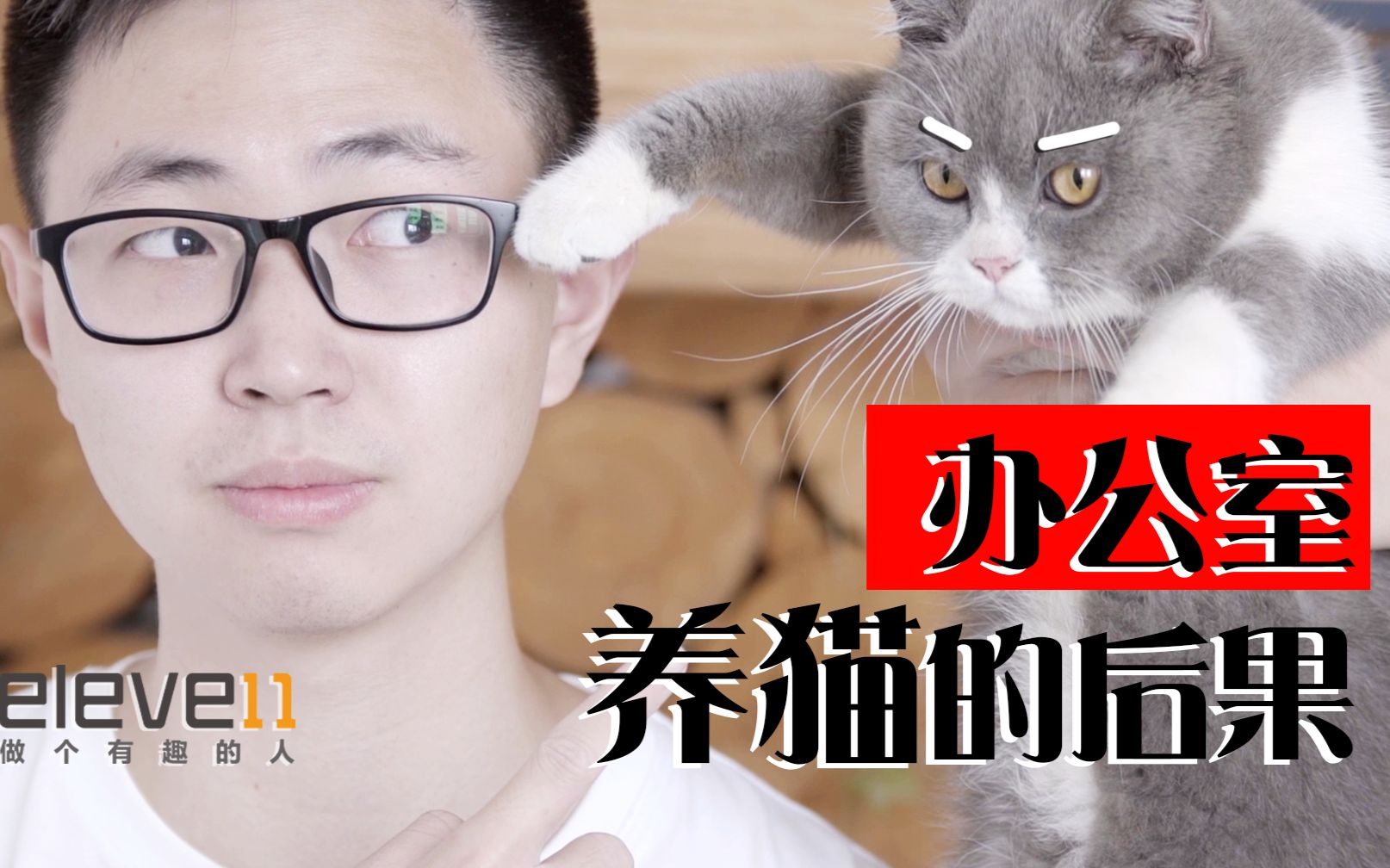 【养猫小剧场】他把猫咪带回公司养,让全公司一起吸猫!哔哩哔哩bilibili