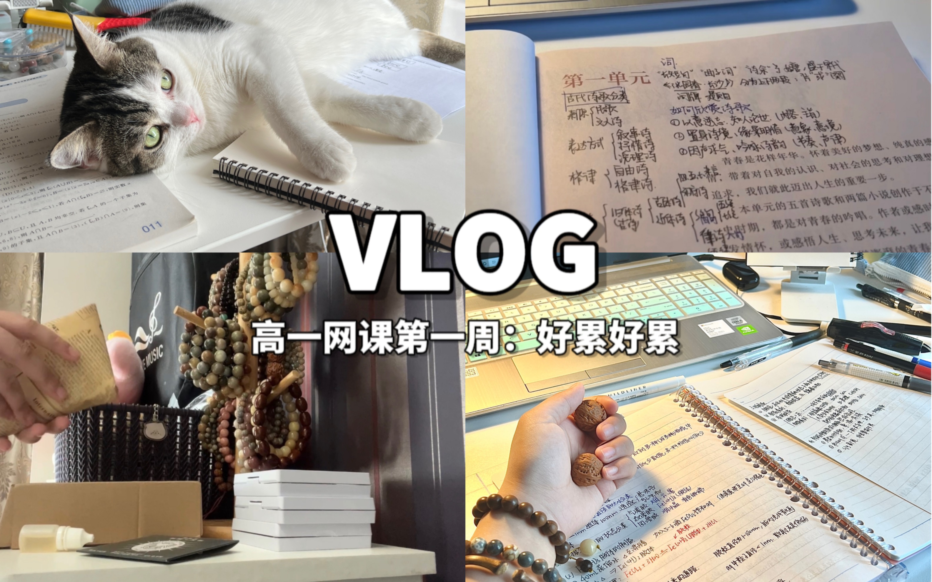 天津耀华高一vlog丨天津网课日常丨鸡血藤手镯分享丨踏进文玩坑哔哩哔哩bilibili