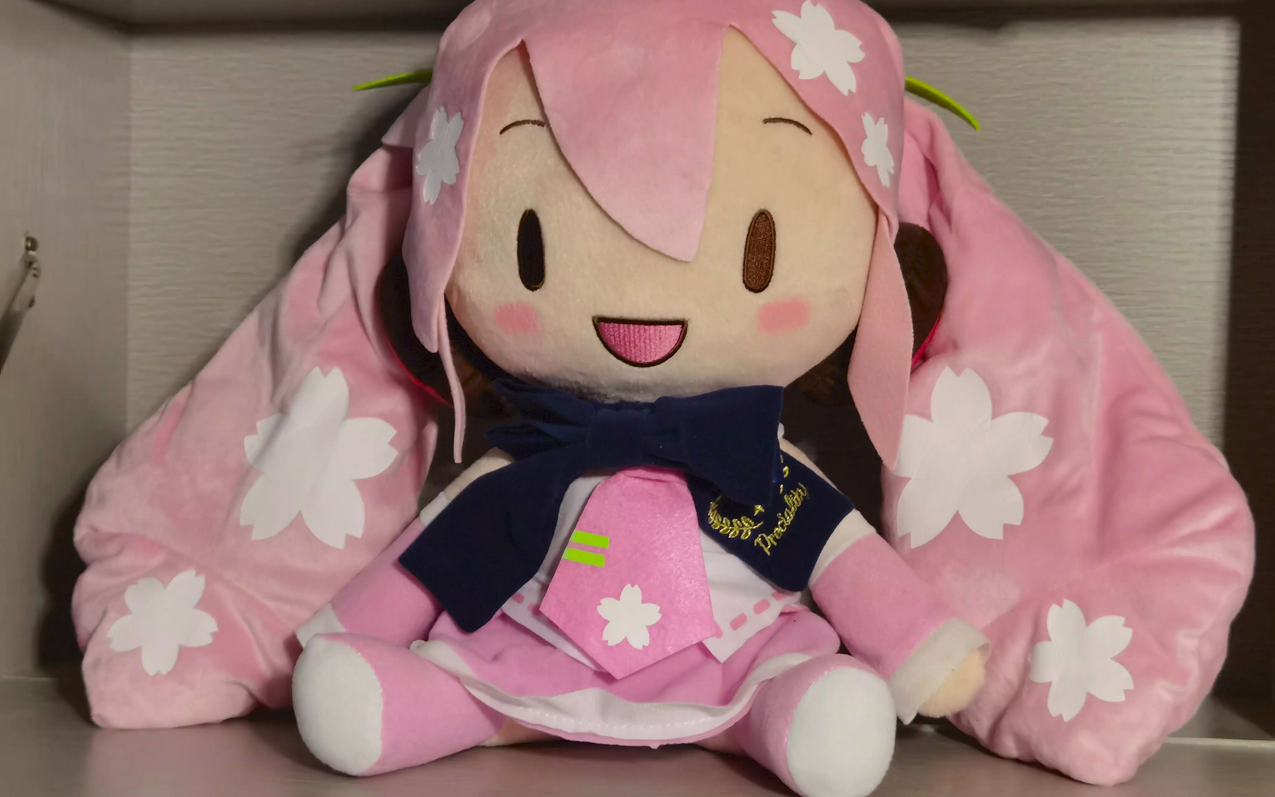 【初音】樱fufu 开箱 以及 养fu人の日常_哔哩哔哩_bilibili