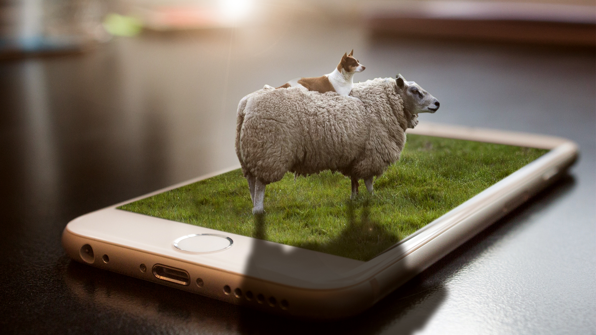 ps教程 创意p图-手机的魔法