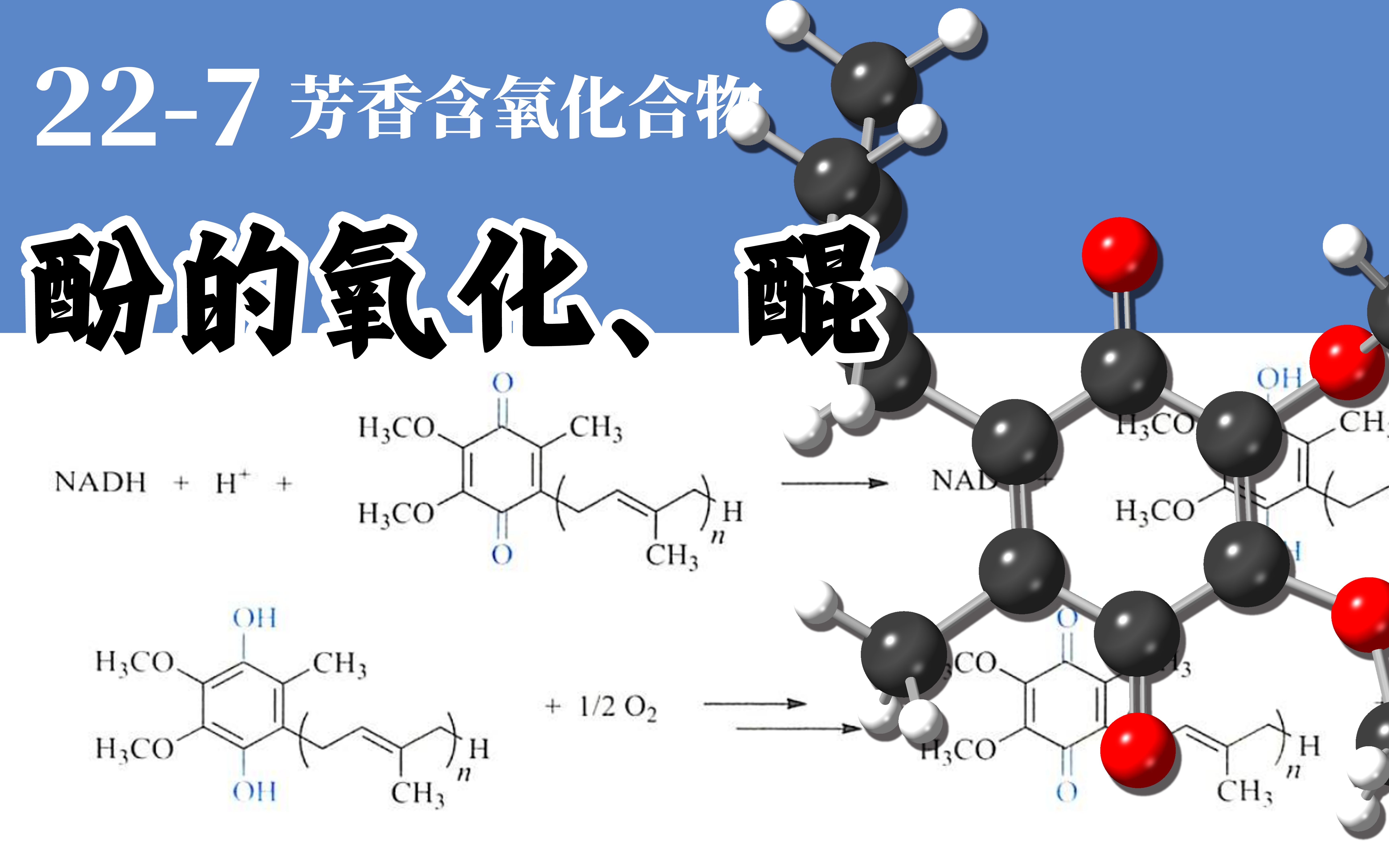 基础有机化学 L227 酚的氧化、醌哔哩哔哩bilibili