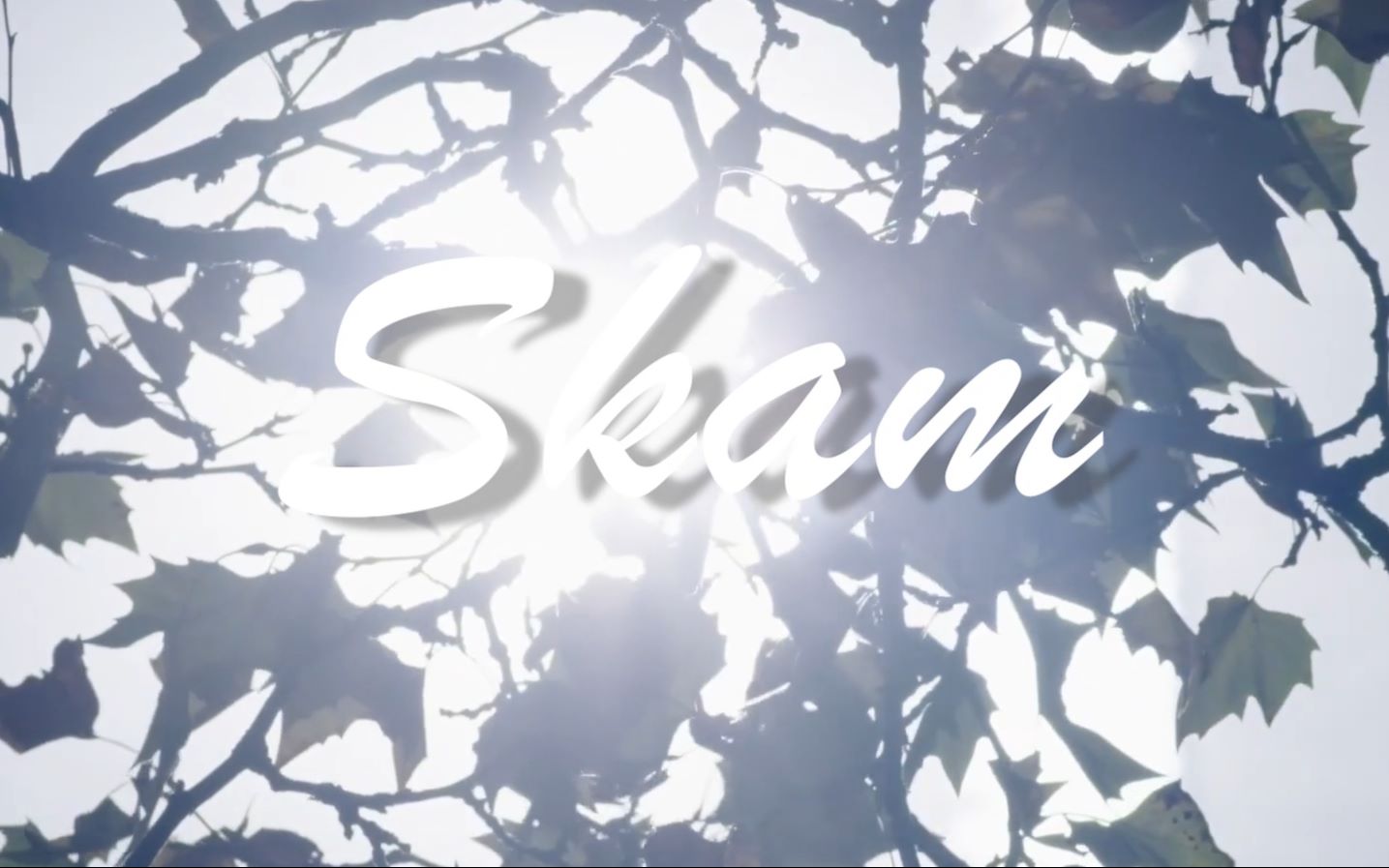 【SKAM法国版第三季】法兰西绝美爱情哔哩哔哩bilibili