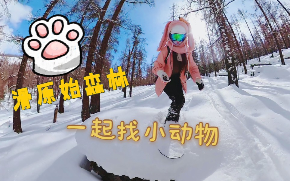 【全景滑雪】在新疆阿勒泰狼窝里滑雪是怎样一种体验?哔哩哔哩bilibili