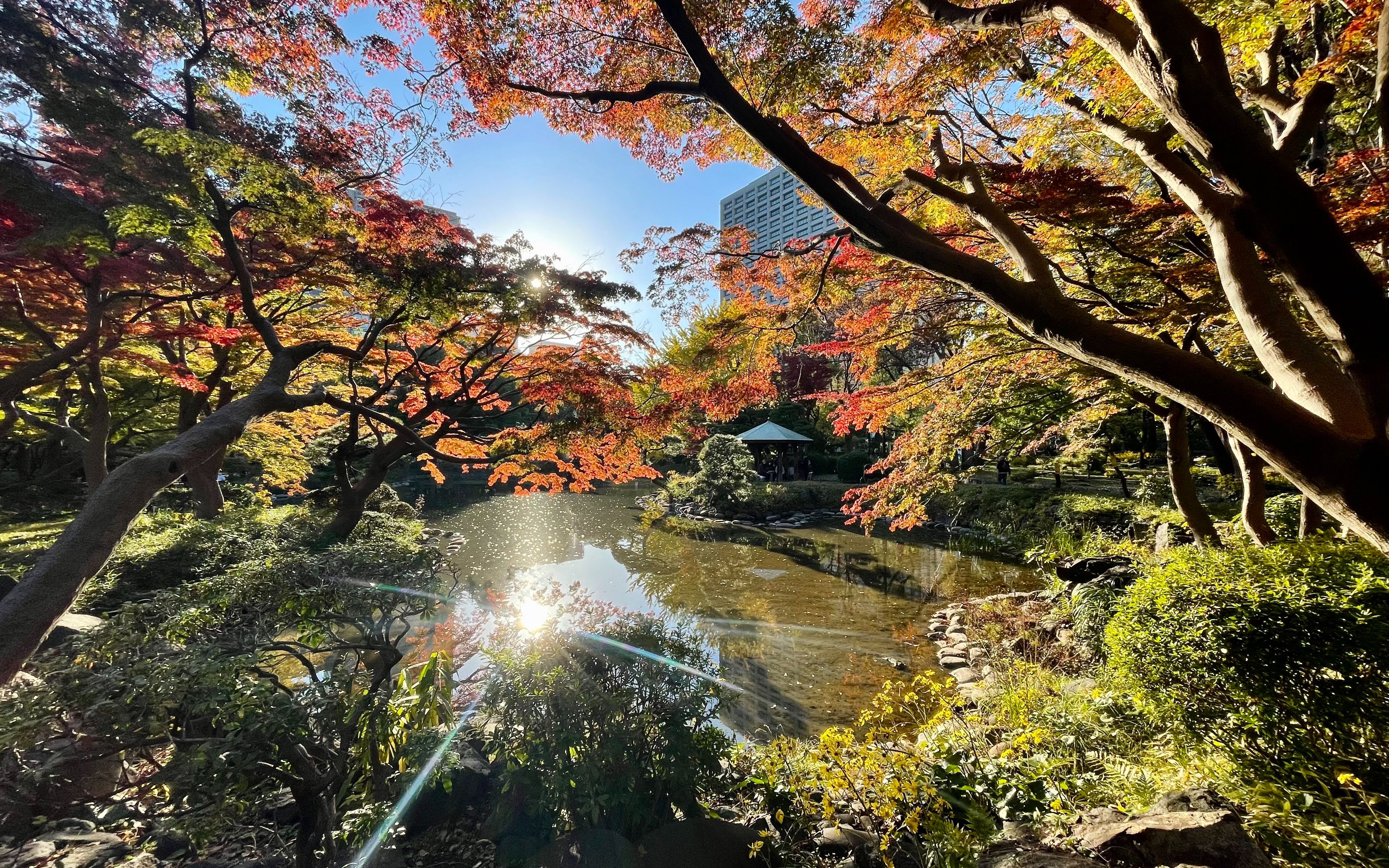 日比谷公园 红叶【4k hdr】_哔哩哔哩_bilibili