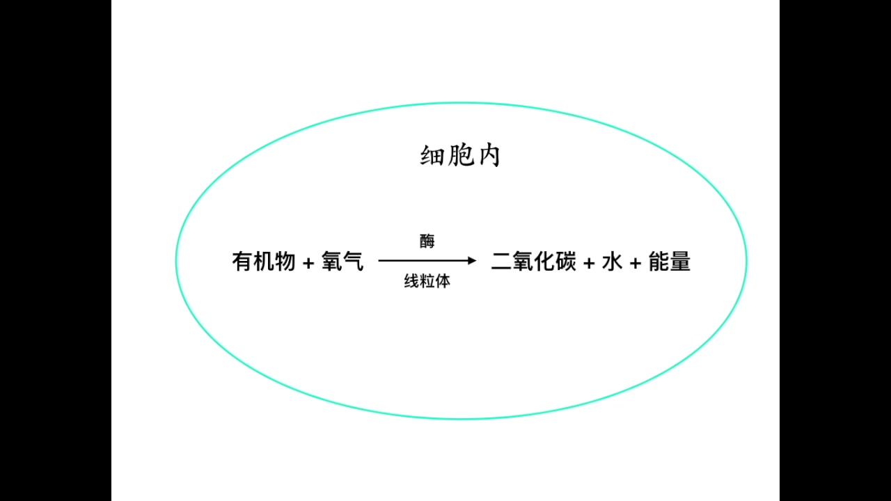 [图]我们为什么要呼吸？