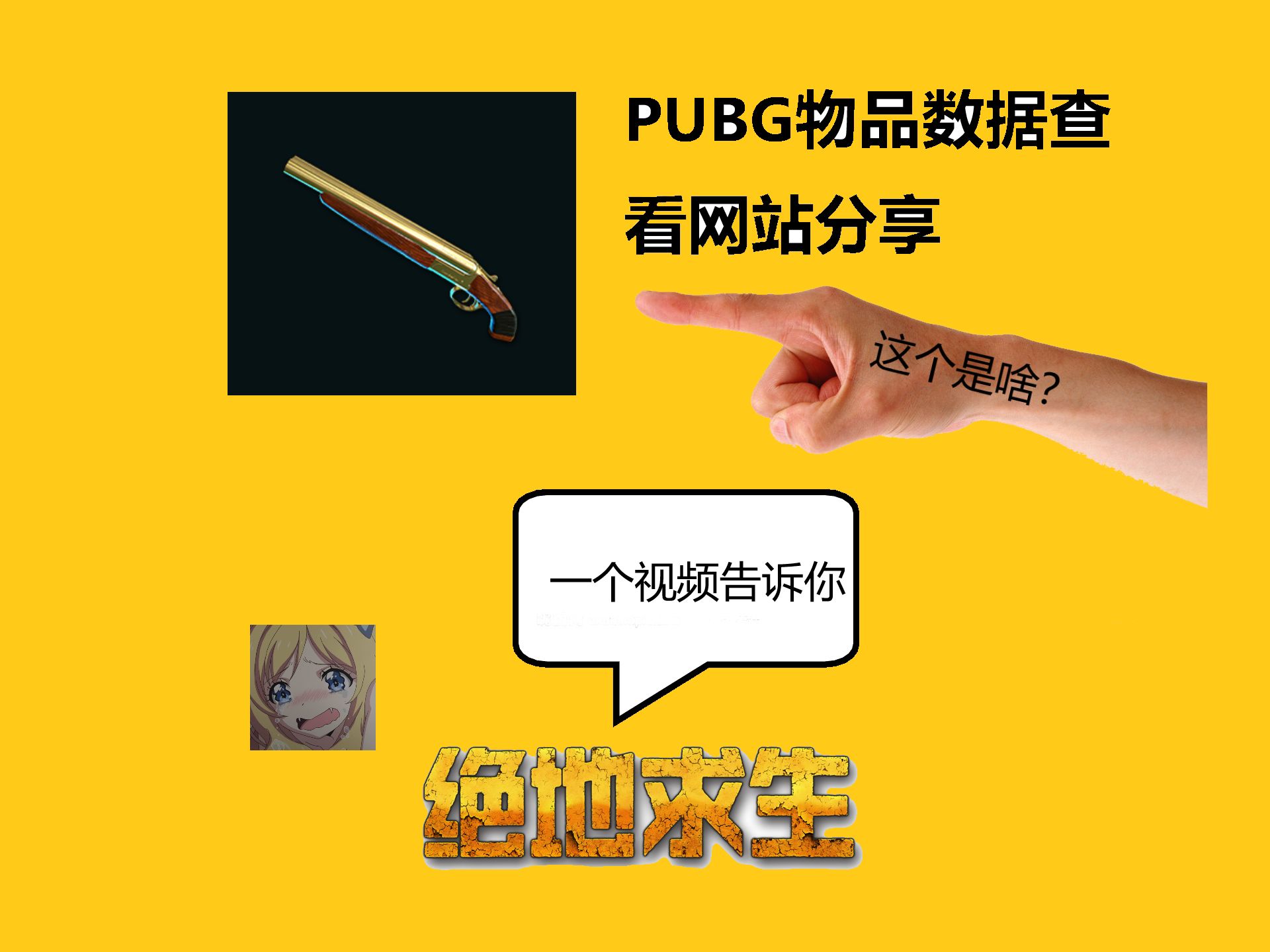 PUBG战绩/物品/排行榜查看网站分享PUBG