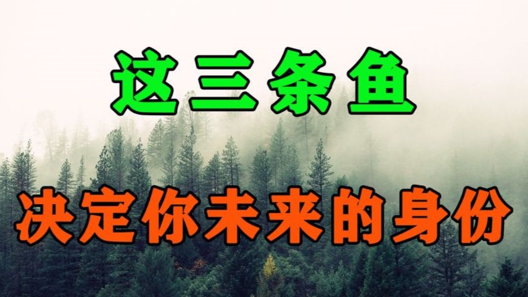 庄子的三条鱼,道破了3种人生的境界!读懂了就都活明白了哔哩哔哩bilibili