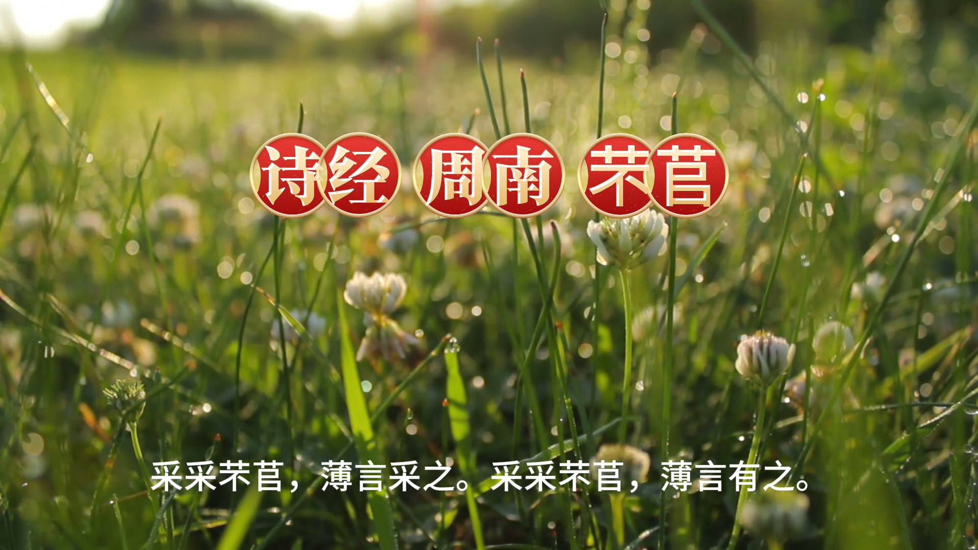 诗经 周南 芣苢