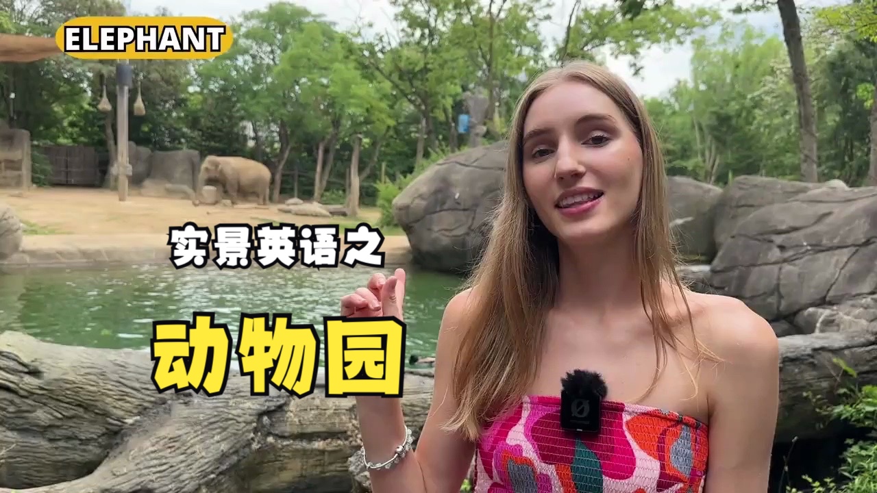 [实景英语 Ariannita] 实景英语之动物园哔哩哔哩bilibili