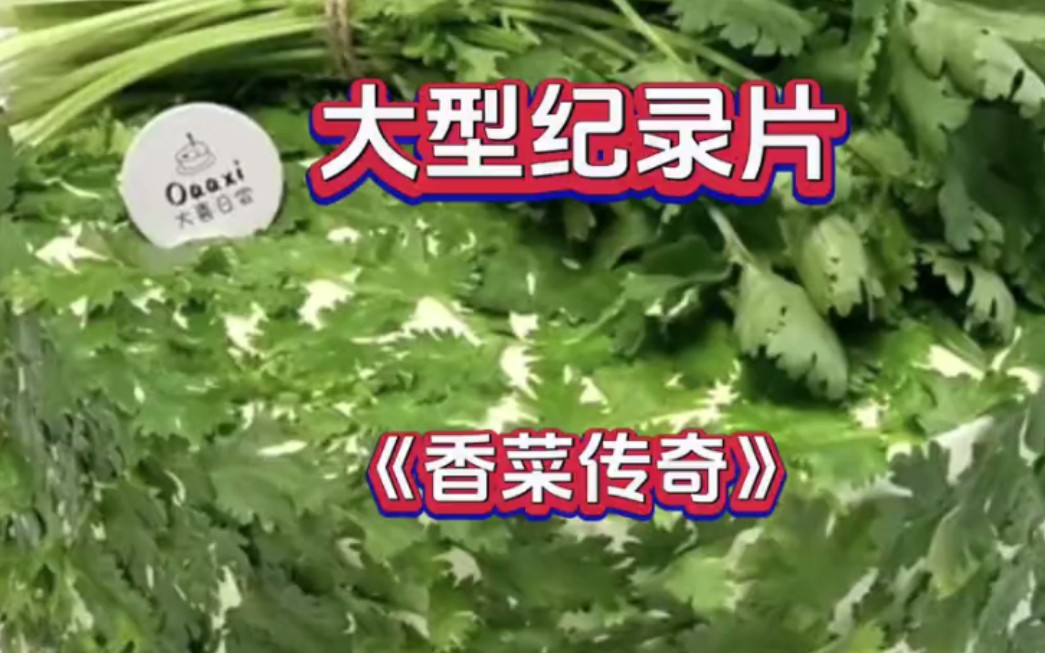 [图]大型纪录片 《香菜传奇》正在播出