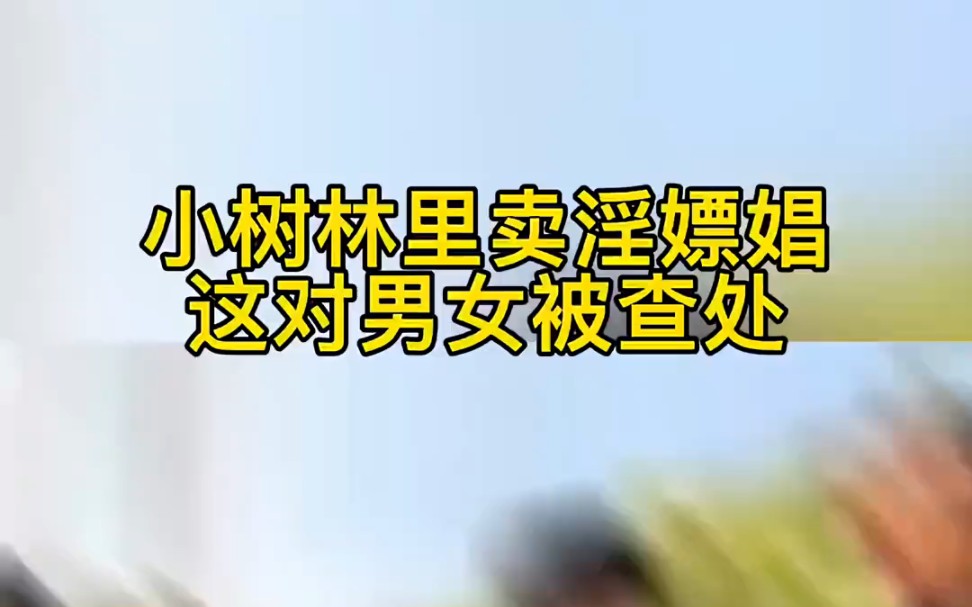 小树林里卖淫嫖娼,一男女被查处!