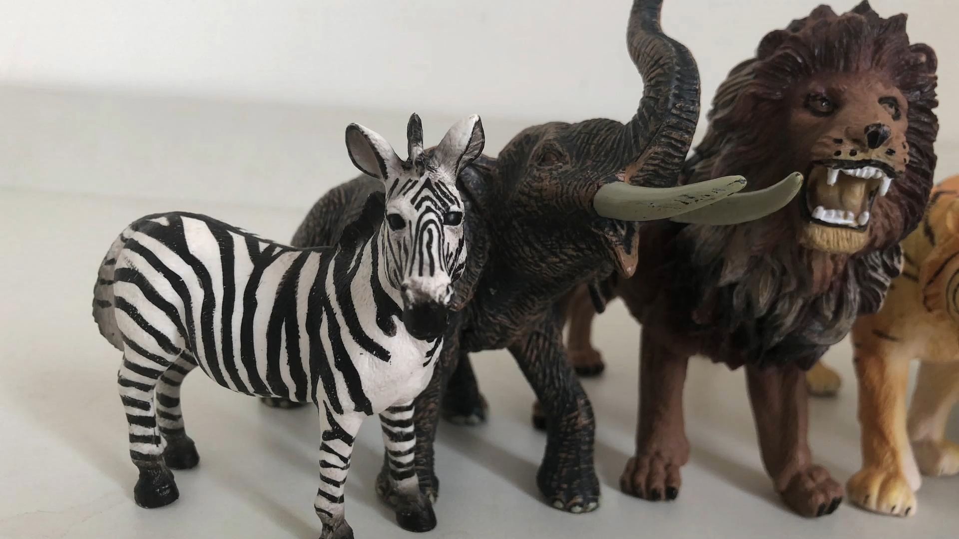 儿童早教益智玩具:认识斑马大象狮子等动物