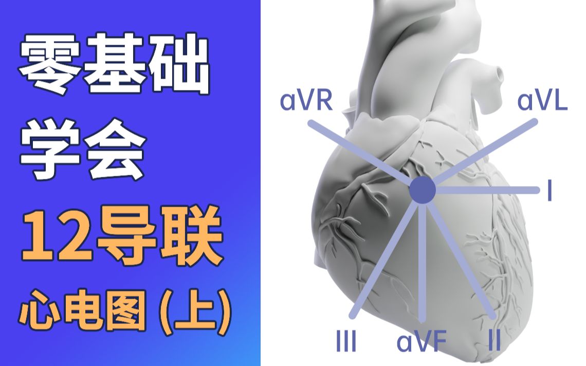 零基础学懂:十二导联心电图(上)哔哩哔哩bilibili