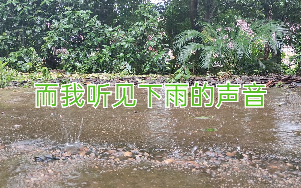 听雨你有多久没有听过下雨的声音了淅淅沥沥建议重复播放