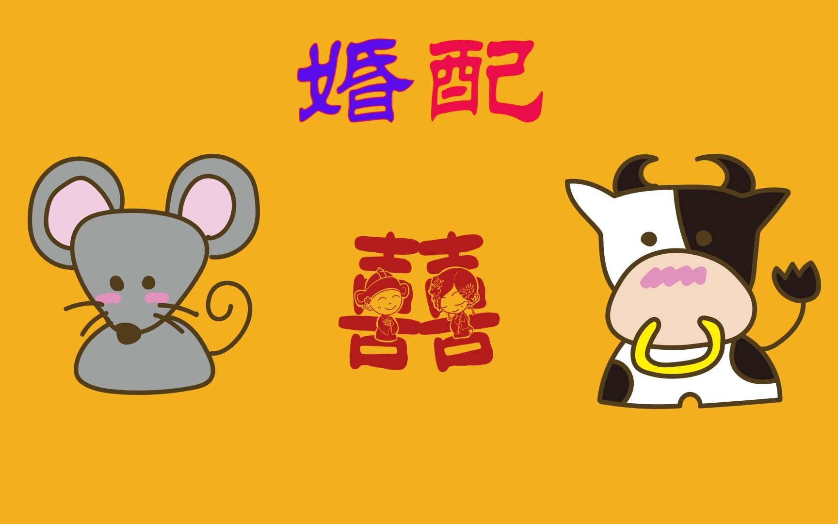 生肖鼠和生肖牛的婚配好吗?视频给你分析