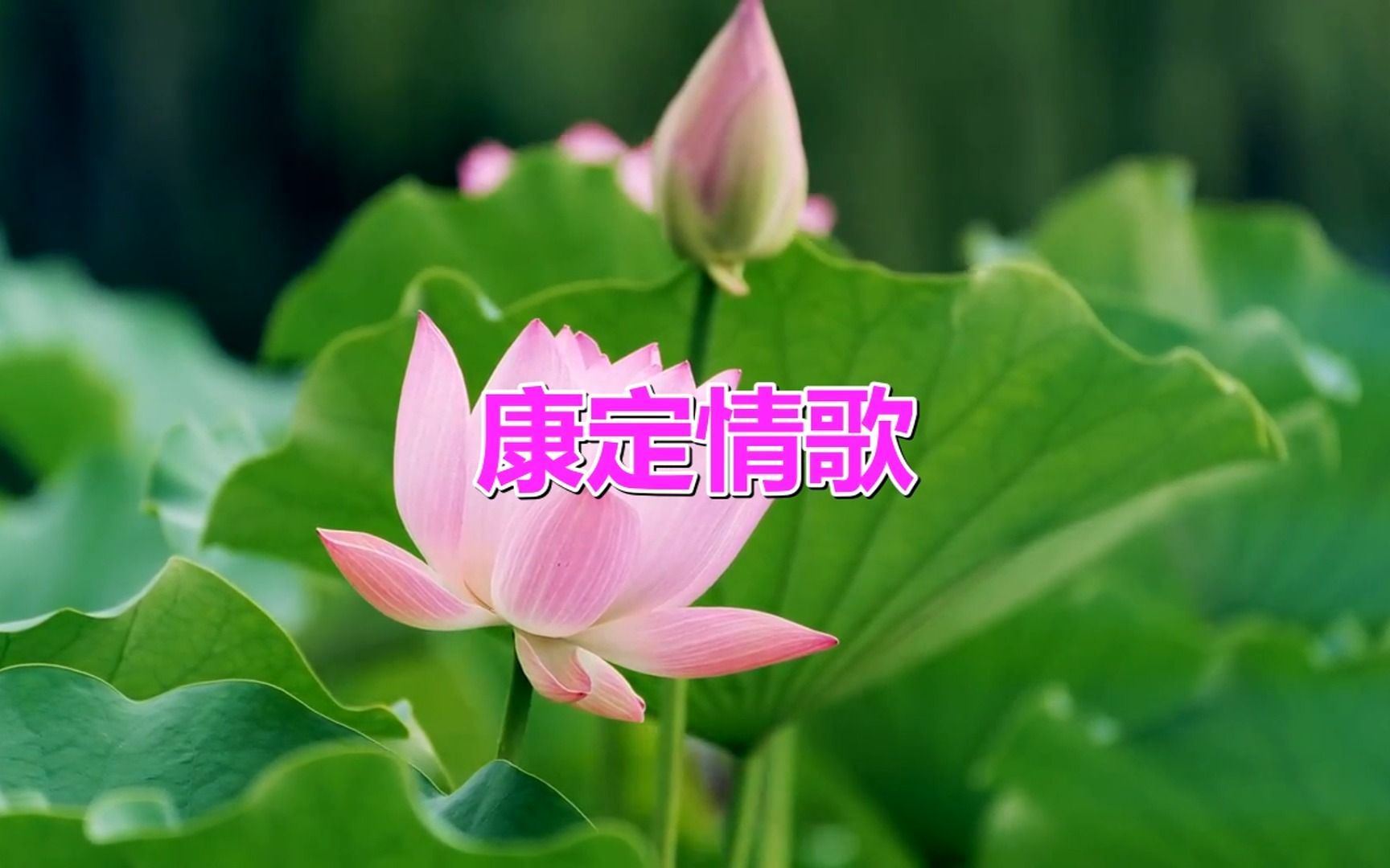 经典歌曲:《康定情歌》盈盈悦耳,实在是经典中的经典