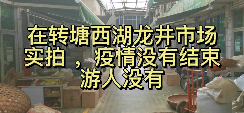 杭州转塘西湖龙井批发市场,规模不大名气很大哔哩哔哩bilibili