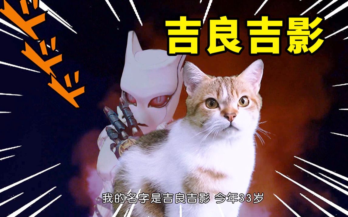 活动  这只猫原来就是吉良吉影!