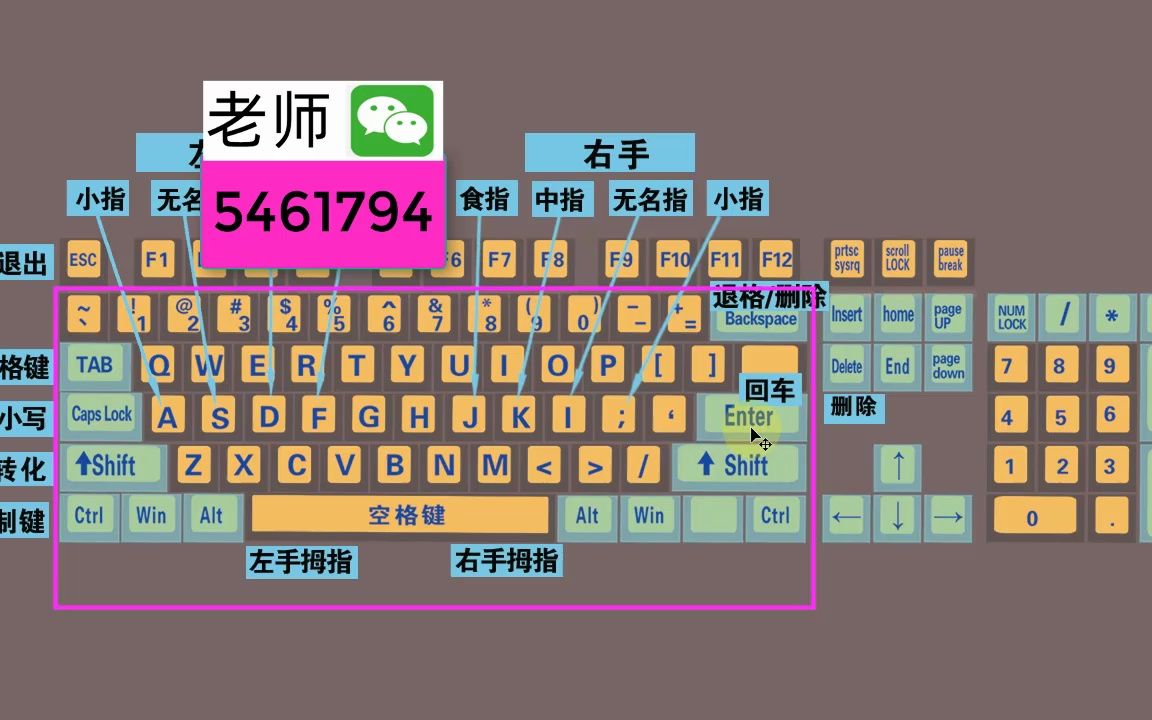 真正零基礎學電腦打字—入門教程