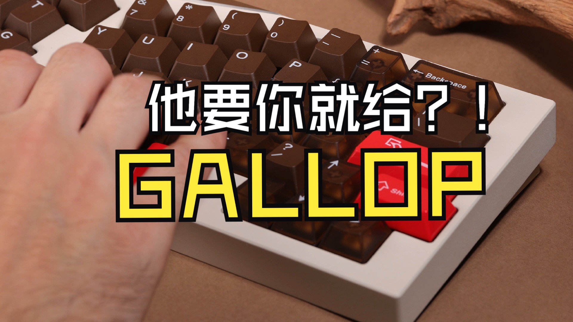 【GALLOP】spring 没给的,它都给了!!!哔哩哔哩bilibili