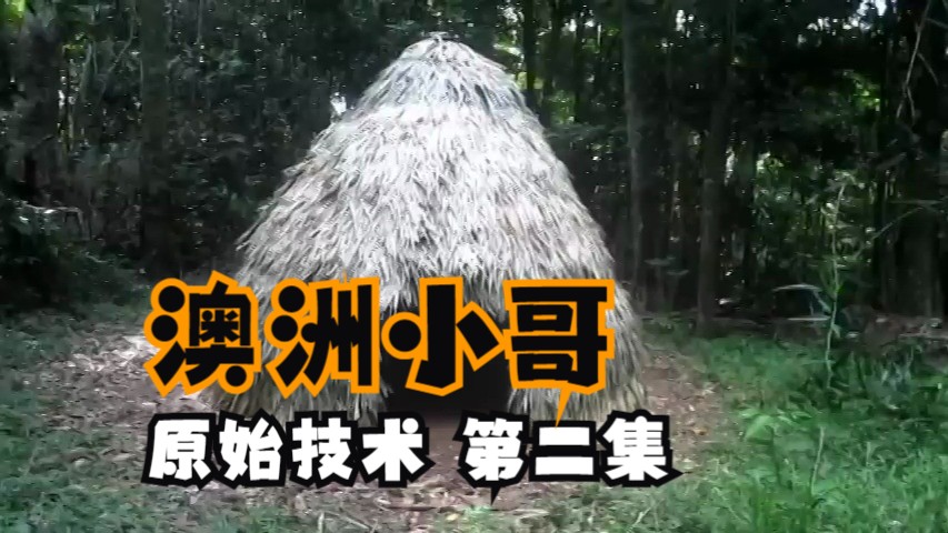 澳洲小哥 原始技术第二集:茅草圆顶小屋