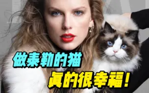 Download Video: 身价上亿，猫生赢家！霉霉的猫登上时代封面